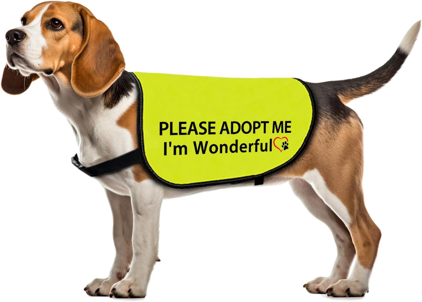 Adoption Dog Jacket Vest Please Adopt Me I Am Wonderful Dog Harness High Visibility Rescue Slogan Vest (I’m Wonderful-Medium)