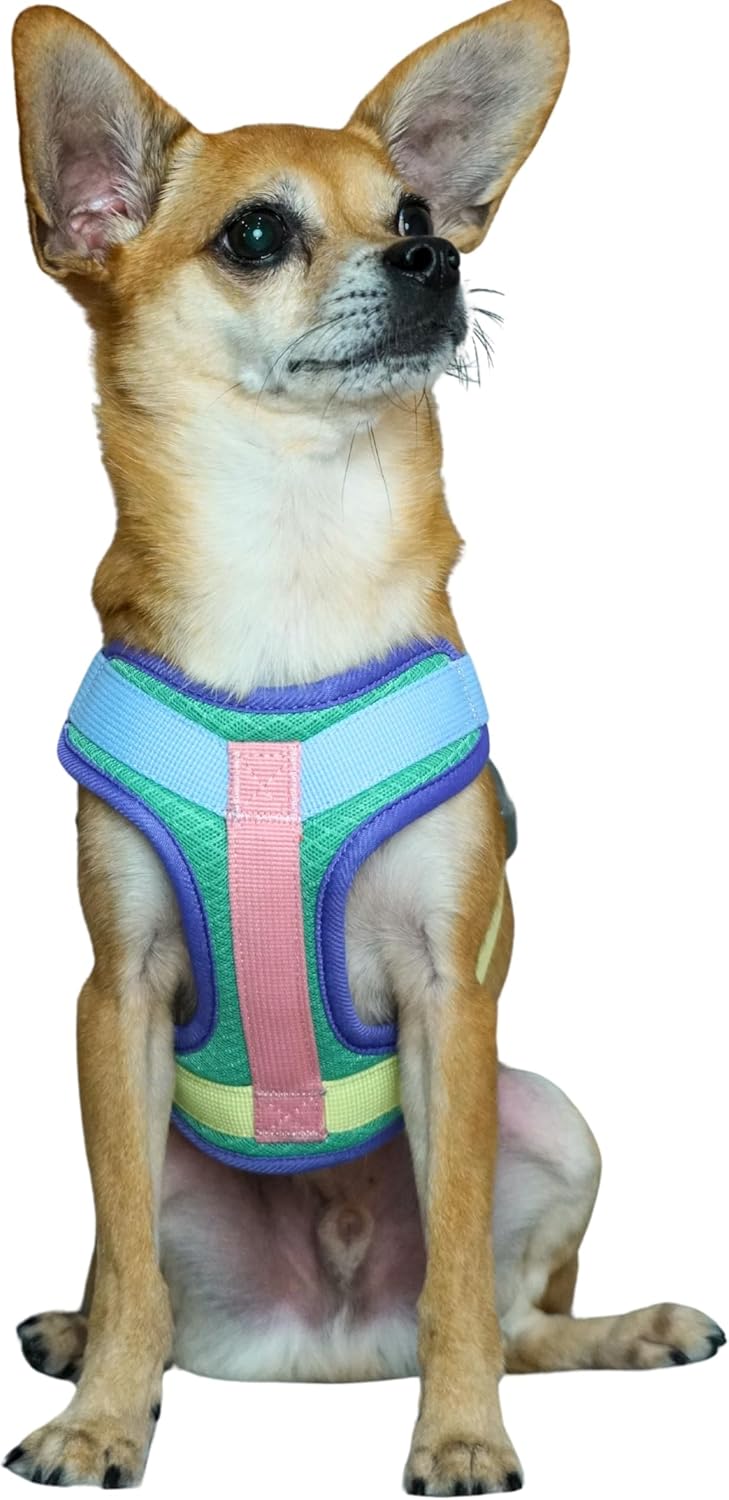 Blueberry Pet Vibrant Mesh Padded Ultra Cool Lightweight Dog Harness Vest in Mint, Medium, Neck 17¾”, Chest 20″~24¾”