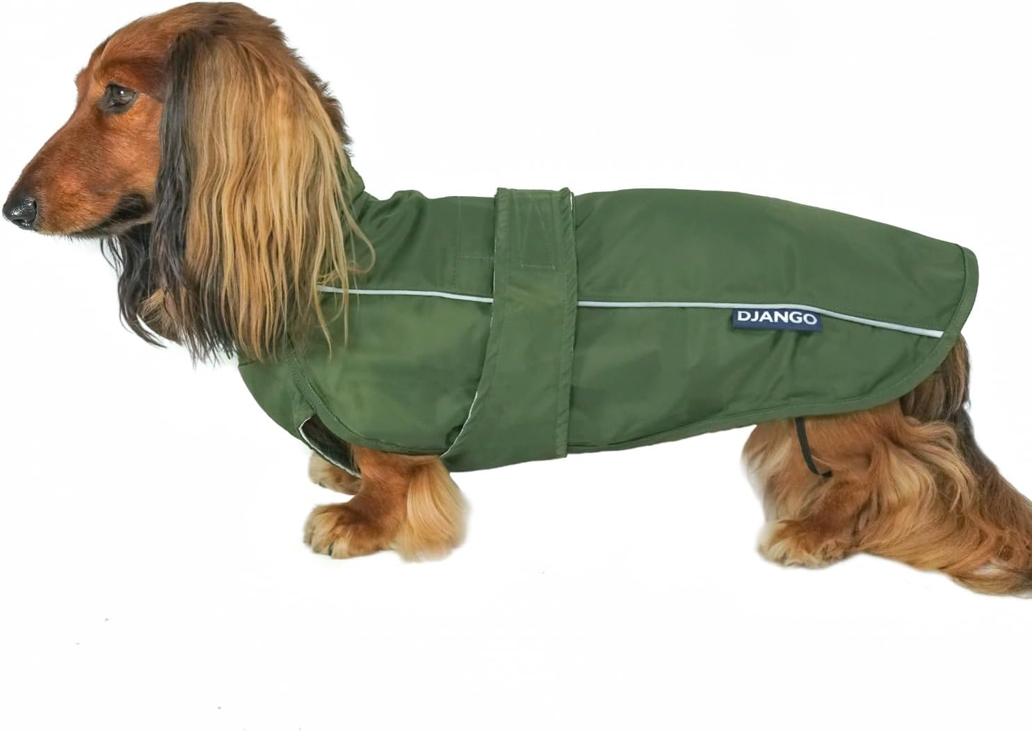 DJANGO Dog Jacket & Raincoat – Lightweight Water-Resistant Coat for Small, Medium & Long Dogs Like Dachshunds – Reflective, Adjustable Fit, Harness-Compatible & Easy-Access Harness Hole – Green, Small