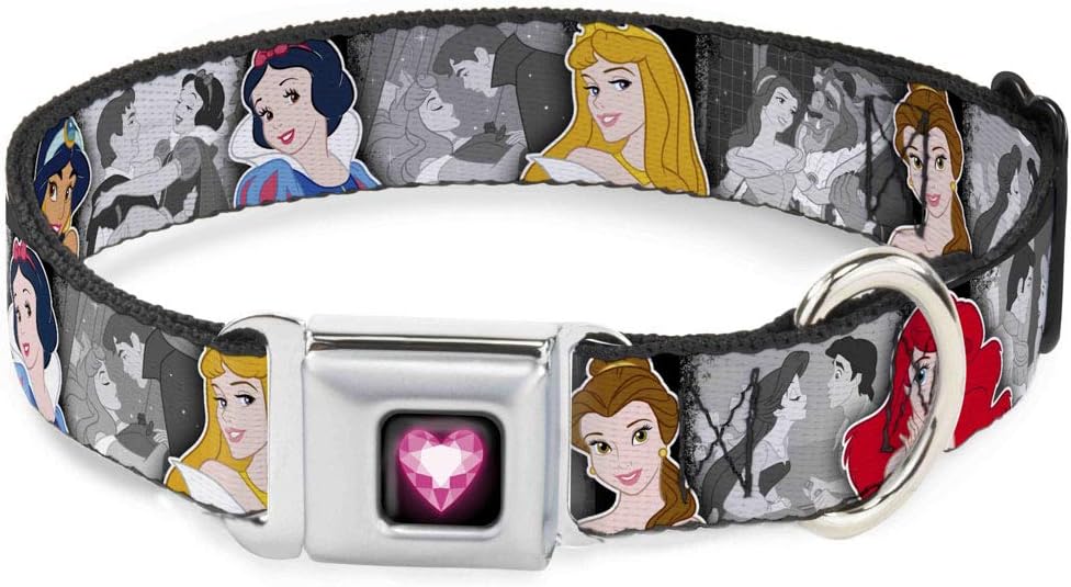 Dog Collar Seatbelt Buckle Princess Pose Princess Prince Scene Grays Multi Color 16 to 23 Inches 1.5 Inch Wide
