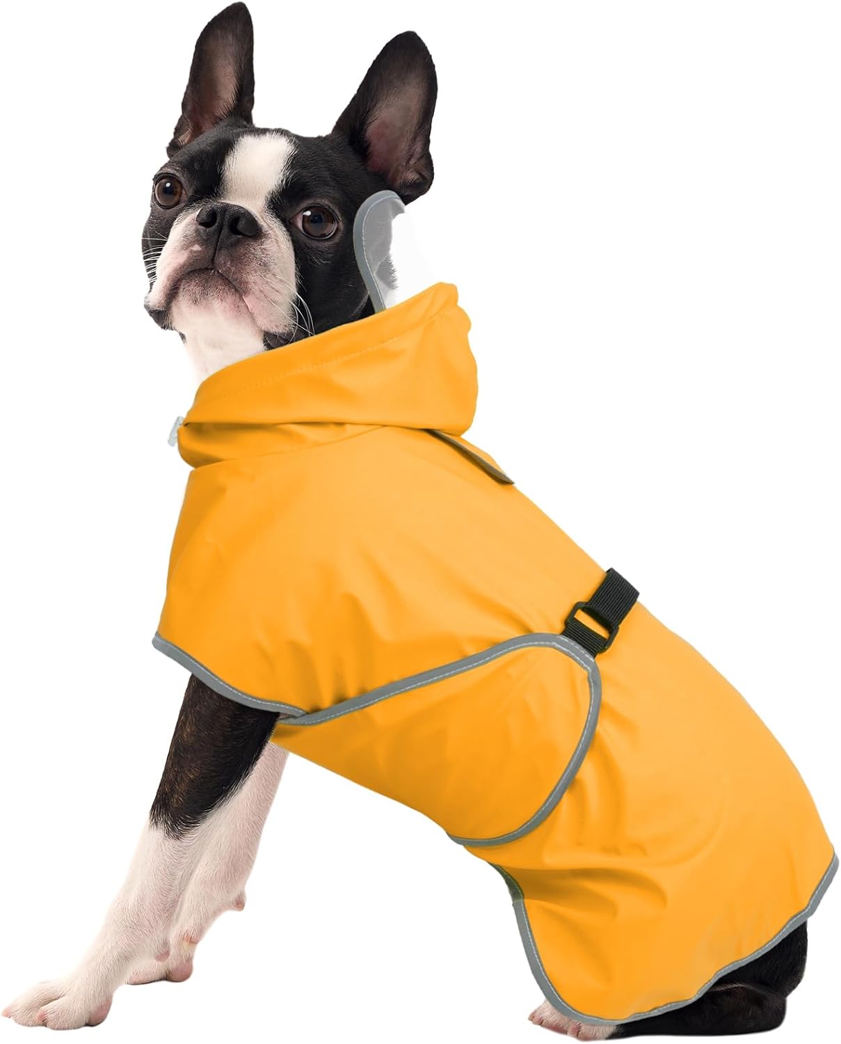 FUAMEY Rain Jacket for Dogs Medium | Leash Hole, Reflective Strips, Rainy Day Outdoor Play, Waterproof, Jack Russell