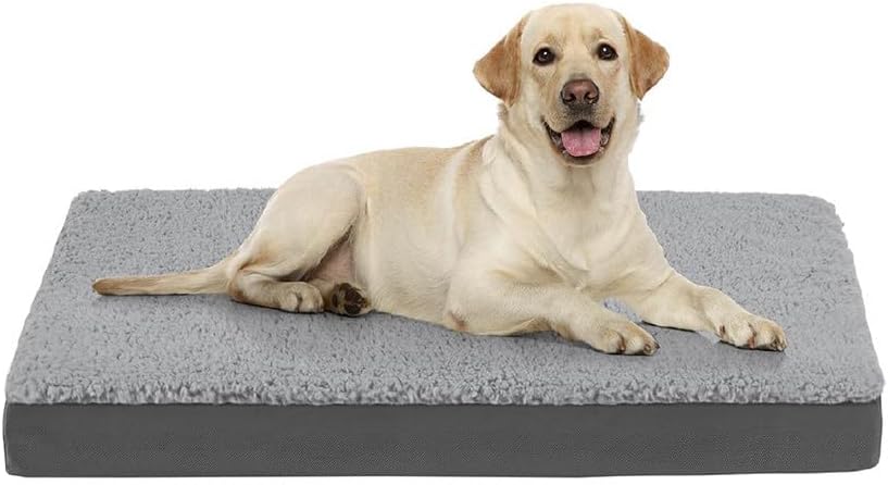 Friends Forever Orthopedic Dog Bed, Cooling Dog Beds with Removable Washable Cover, Reversible Pet Bed Mat with Memory Foam, Washable Removable Cover, Kato Grey, 36x27x3