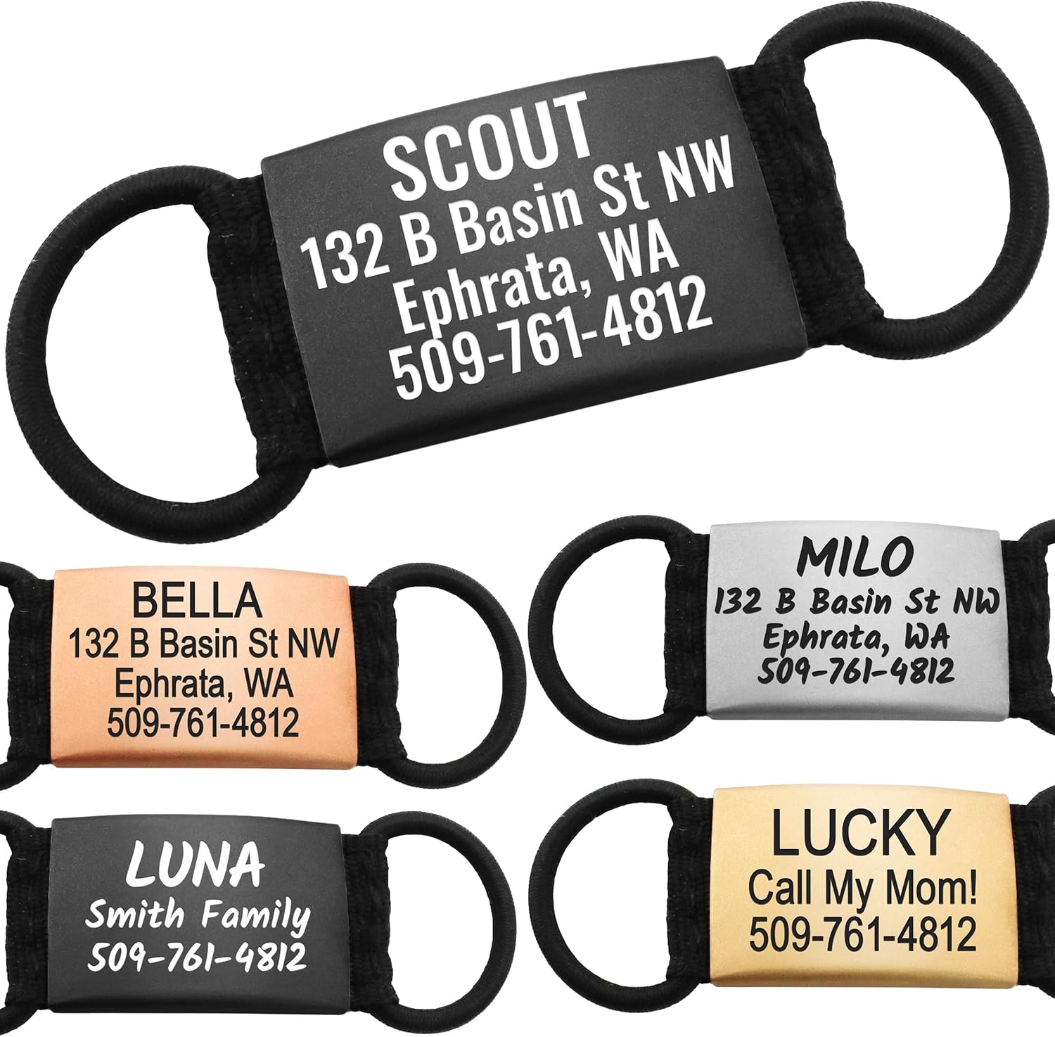 GoTags Silent Personalized Engraved Pet ID Dog and Cat Tags, Jingle Free Quiet Custom Name Tags (Silver, Medium)