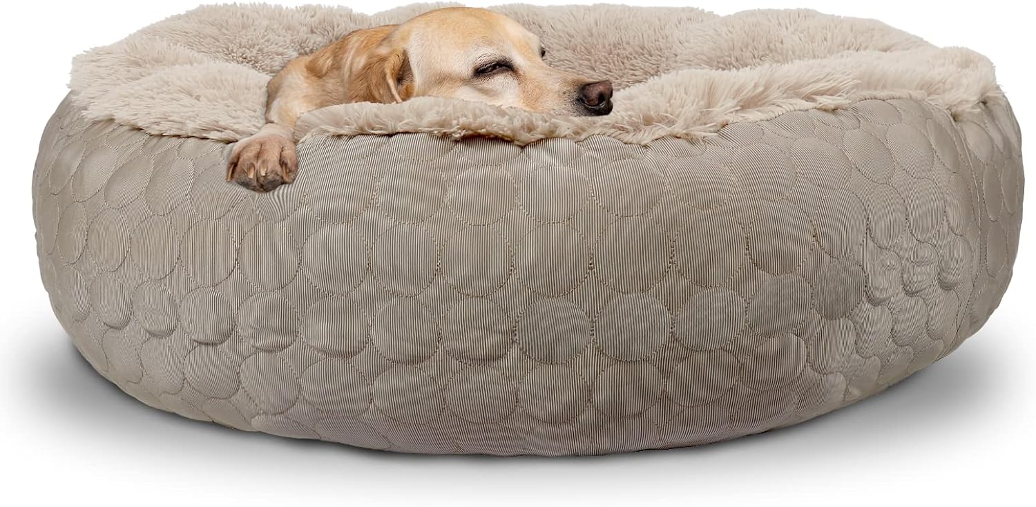 HACHIKITTY Dog Bed, Orthopedic, Round, X-Large, Taupe (30x24x16in), for Medium Large Dogs & Cats, Cooling Warming, Polyester, Hypoallergenic