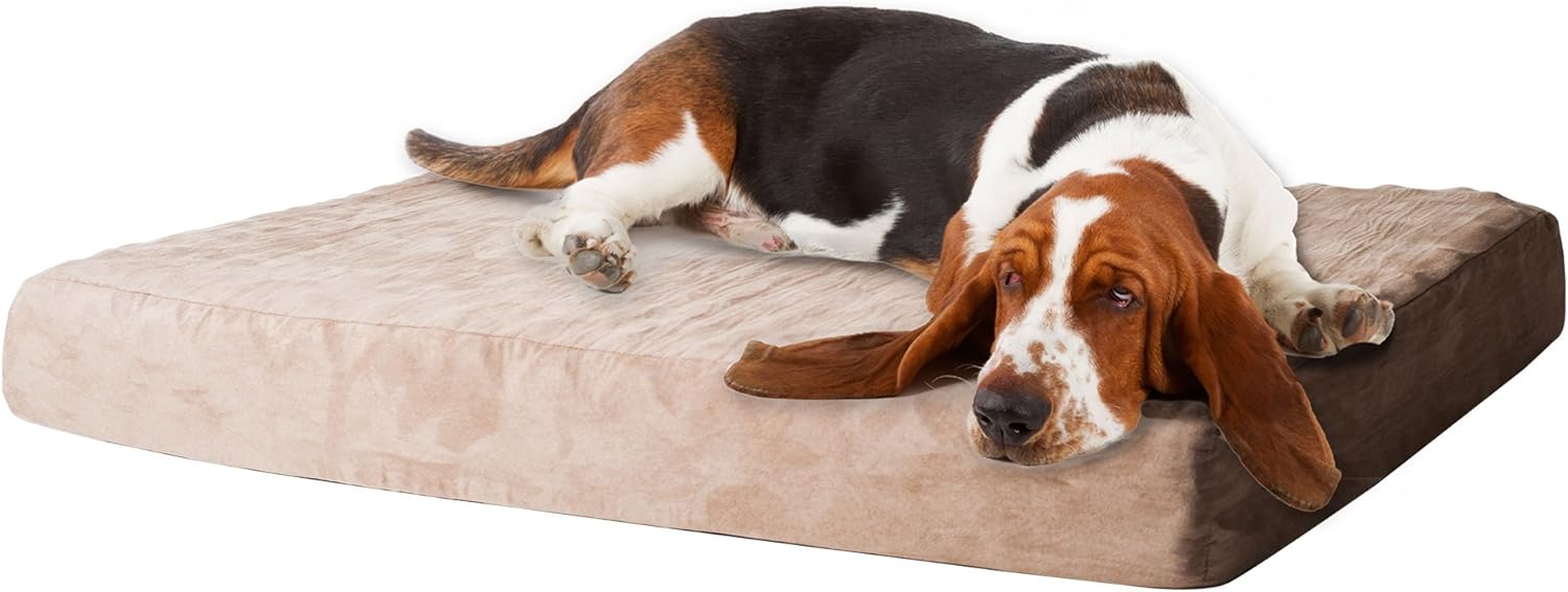 Memory Foam Dog Bed Collection– 2-Layer Orthopedic Dog Bed with Machine Washable Cover – Dog Bed for Large Dogs up to 95lbs by PETMAKER (Tan)
