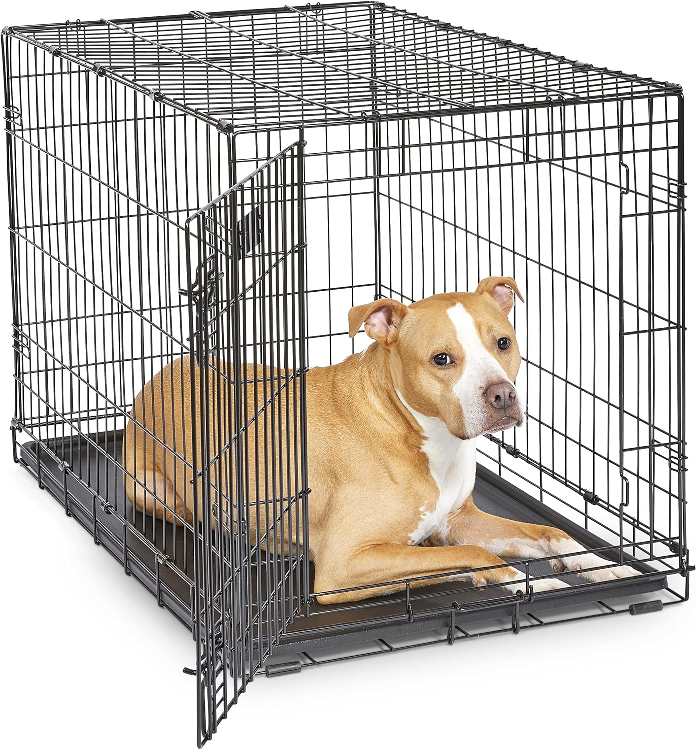 MidWest Homes for Pets 36-Inch iCrate for Medium-Large Breeds, 41-70 lbs, Single Door Folding Dog Crate with Divider Panel, Leak-Proof Tray & Secure Latches, Portable, Durable & Easy to Assemble