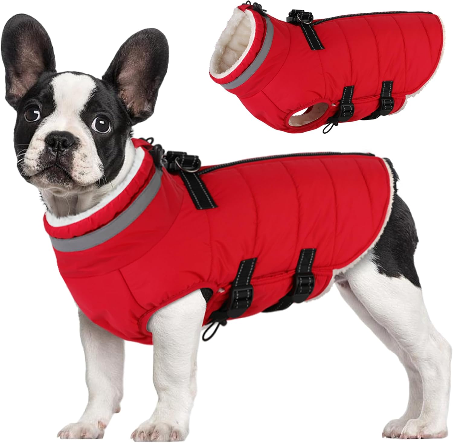 Mklhgty Medium Dog Coat with Harness Built-in, Waterproof Reflective Fleece Lined – Warm Windproof Winter Jacket with Back Zipper, Cold Weather Snow Dog Coats – Red – M