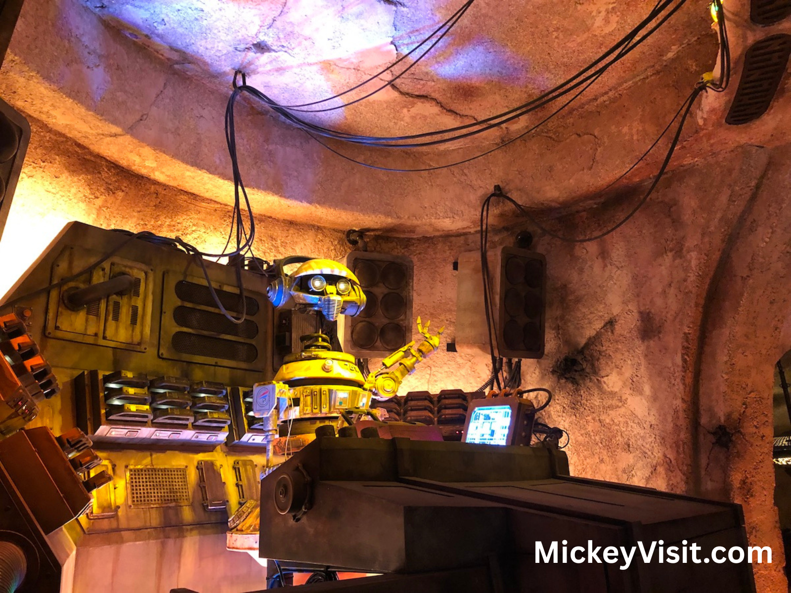 Droid at Ogas Cantina restaurant