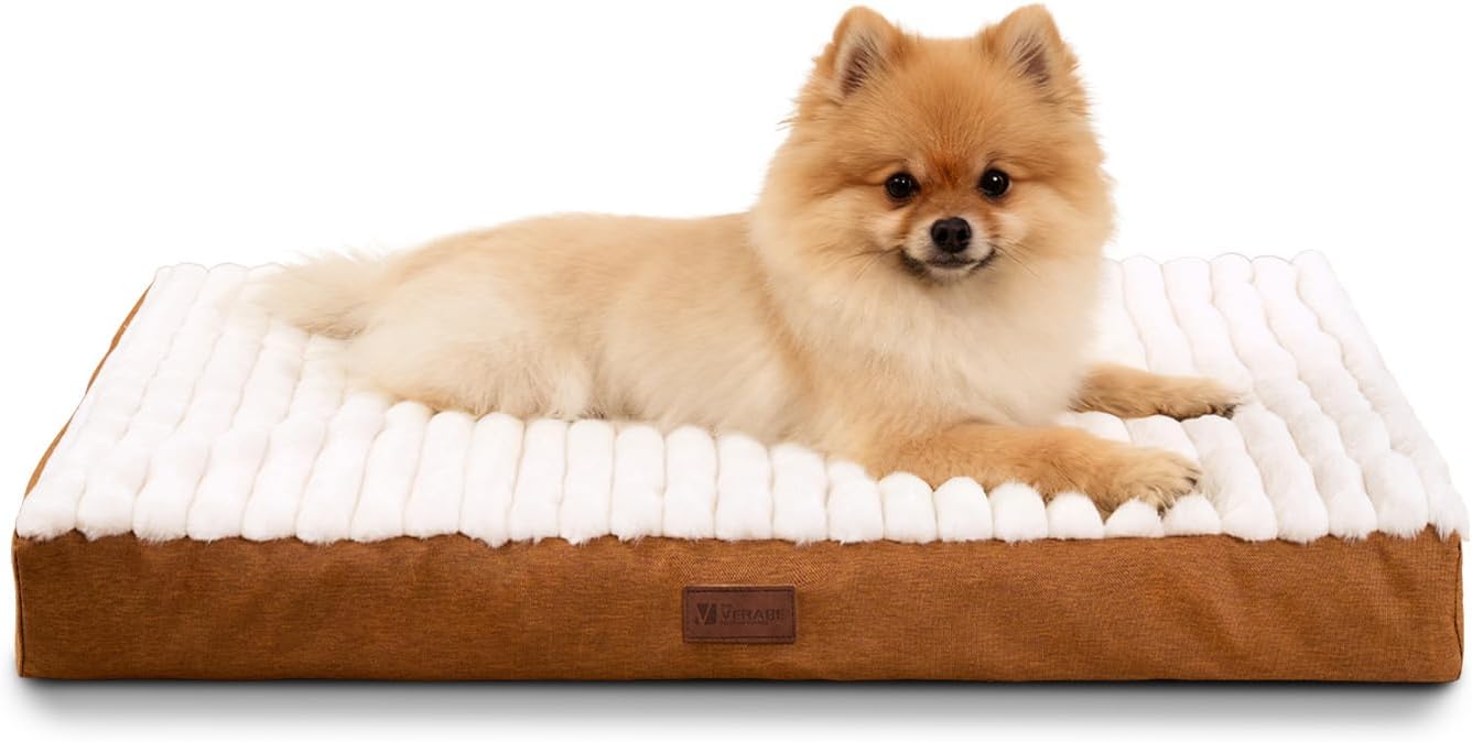 Orthopedic Dog Bed with Firm High-Density Egg Crate Foam Mattress,Soft Short Plush Surface Pet Beds,Machine Washable with Removable Cover & Non-Slip Bottom for Small Breeds(Brown, 23″L x 17″W x 3″H)