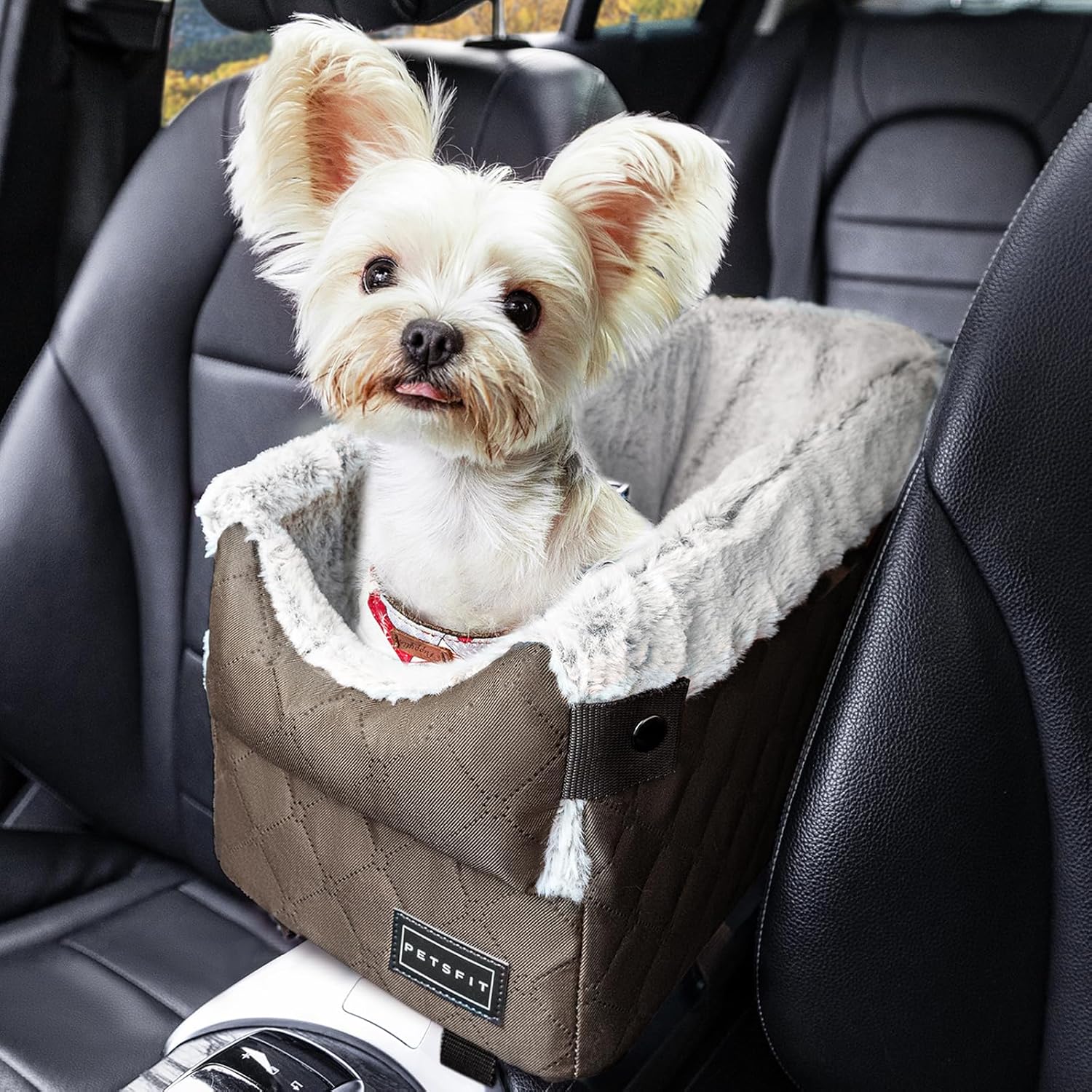 PETSFIT Center Console Dog Car Seat with Safe Protection Hooks, Pet Car Seat with Upgraded Safety Tethers, Washable Cushion, Console Dog Car Seats for Small Dogs (Coffee)