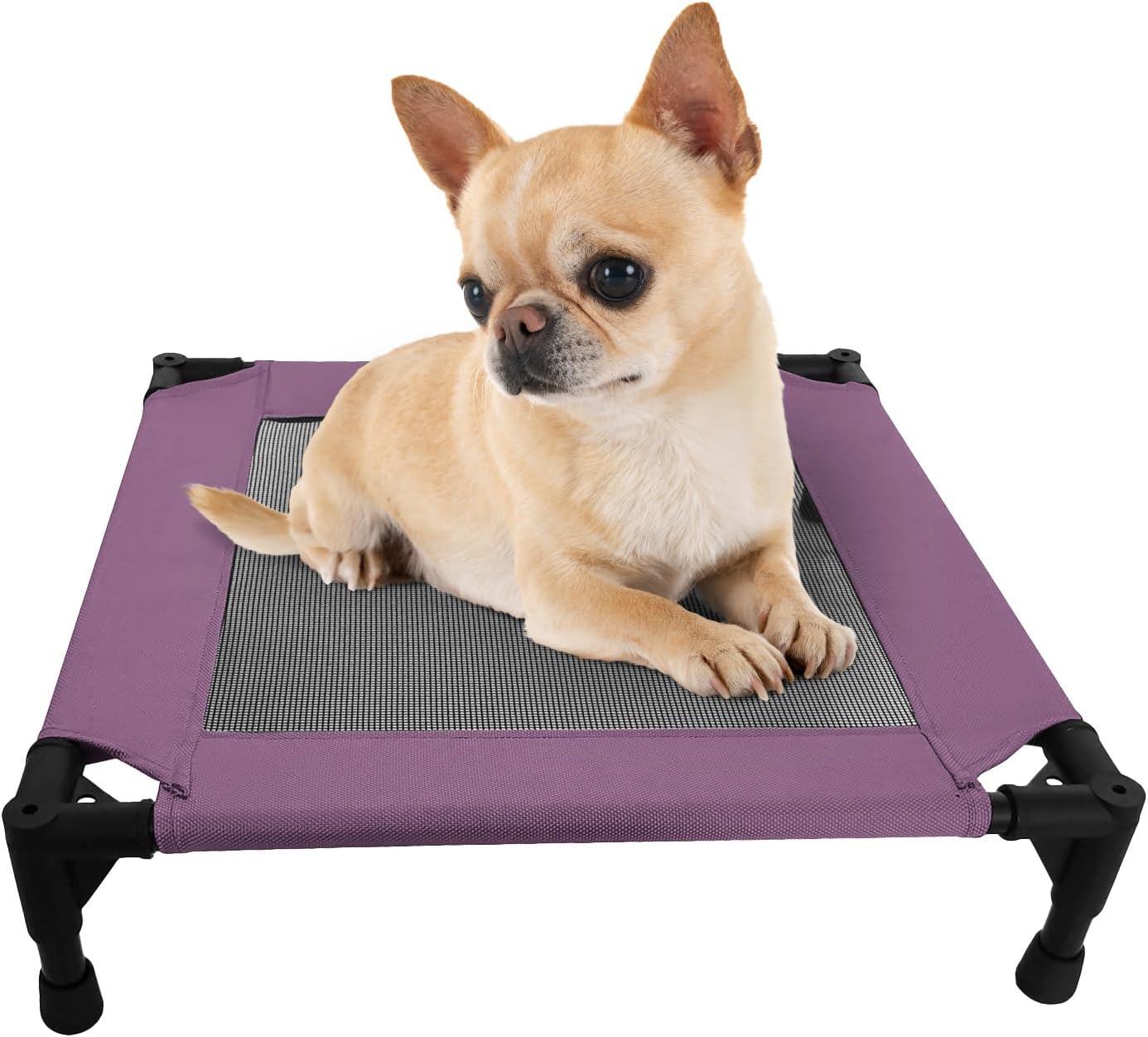 Pozico Elevated Pet Bed with Breathable Mesh for Small Cat and Dog, Raised Cooling Pet Cot for Puppy and Kitty, 18.9×18.9 inch (Purple Bed)