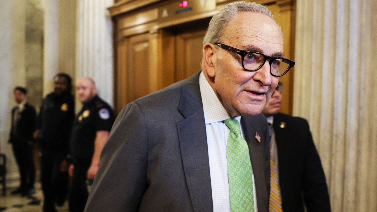 Senate Democrats say they want to end DHS shutdown while blocking GOP