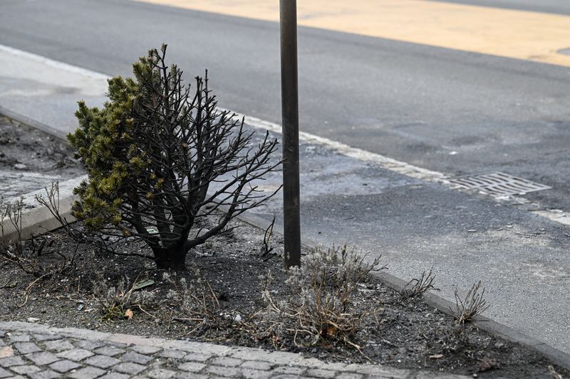 Six die in Swiss bus blaze after man suspected of setting fire to himself