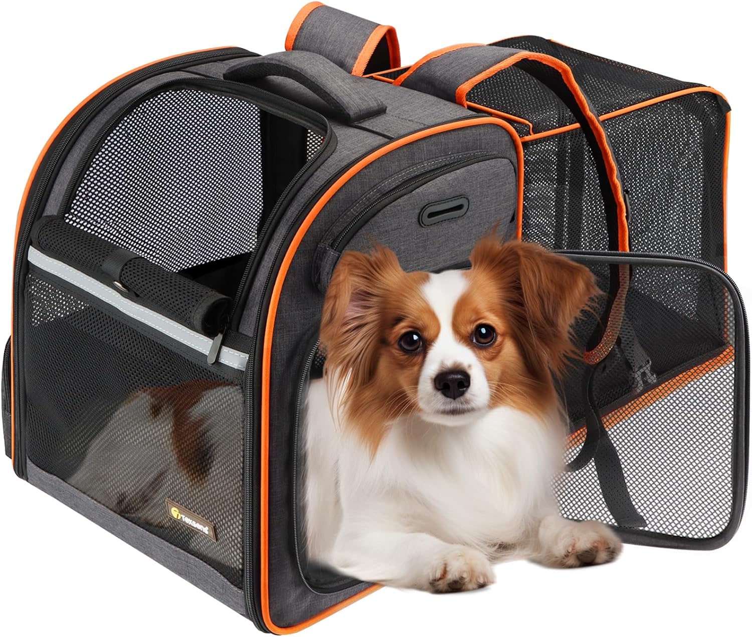 Texsens Cat Backpack Expandable Pet Carrier – Pet Backpack Carrier for Medium Cats and Small Dogs – Great for Travel, Hiking & Outdoor Activities