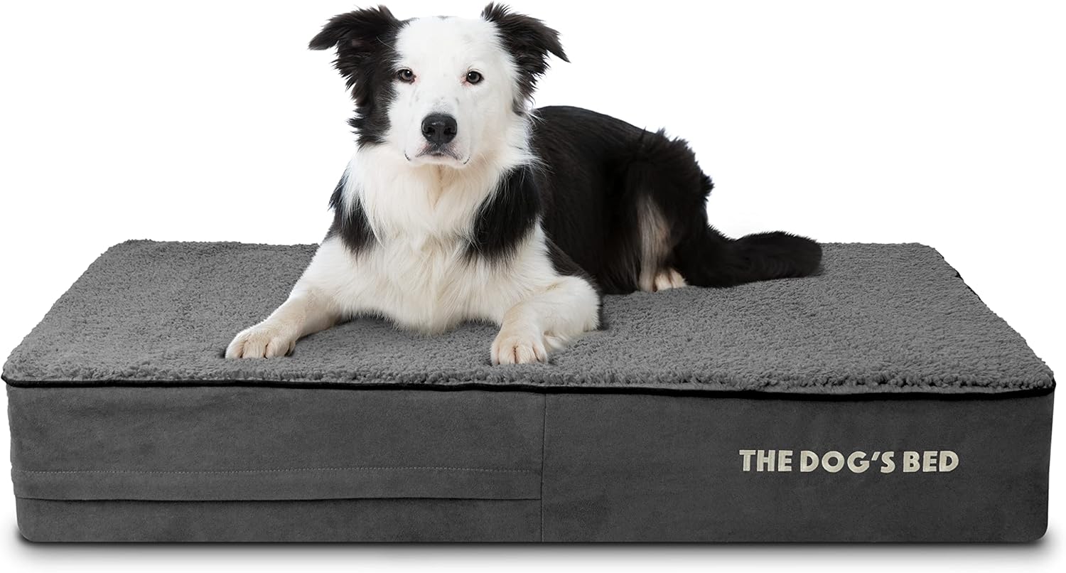 The Dog’s Bed Orthopedic Memory Foam Dog Bed Mattress, Plush Fabric, Grey Plush, Large, 6-Inch