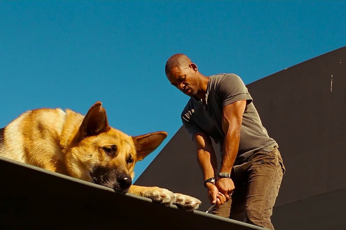 Will Smith reveals why “I am Legend” is his most criticized film