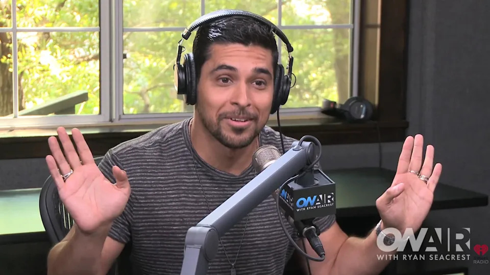 Wilmer speaking on a radio show