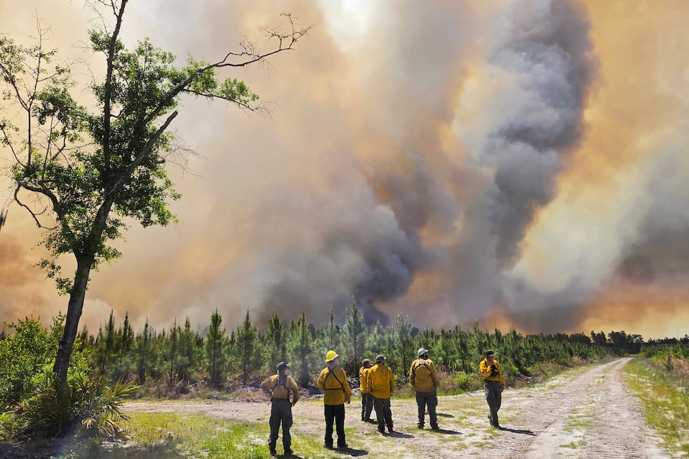 This photo provided by the Georgia Department of Natural Resources shows firefighters...