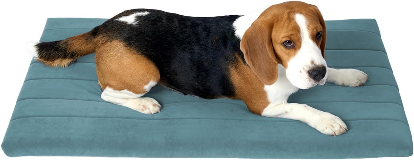 BALANCE Dog Crate Bed, Orthopedic Dog Bed Pad with Waterproof Liner, Washable Crate Foam Pet Mat for Large, Medium, Puppy Dogs Breeds, Powder Blue, 36″x23″x1.6″