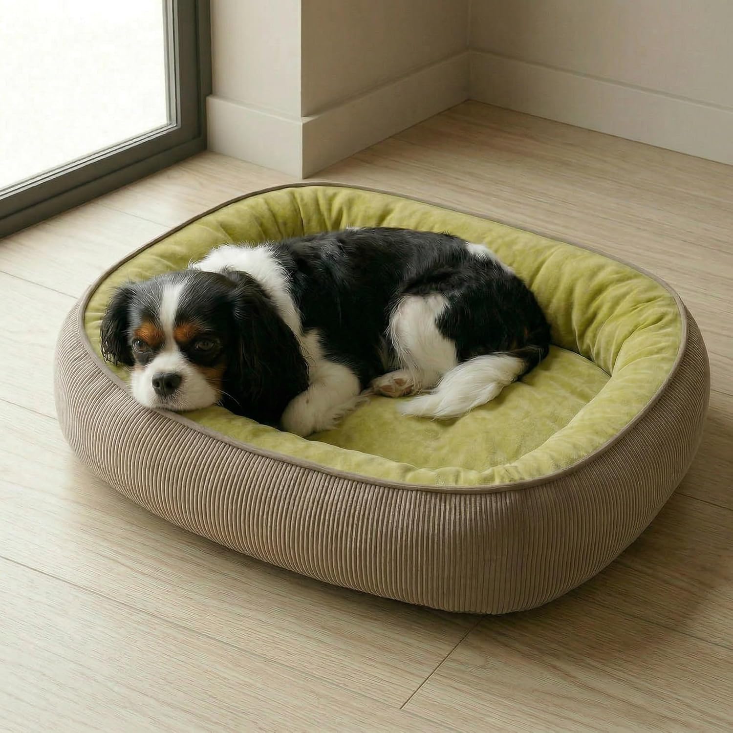 Calming Dog Bed for Medium Dogs 26″x18″ – Orthopedic Washable Pet Bed with Anti-Slip Bottom, Indoor Soft Cat Bed with Removable Cover (Lime Green)