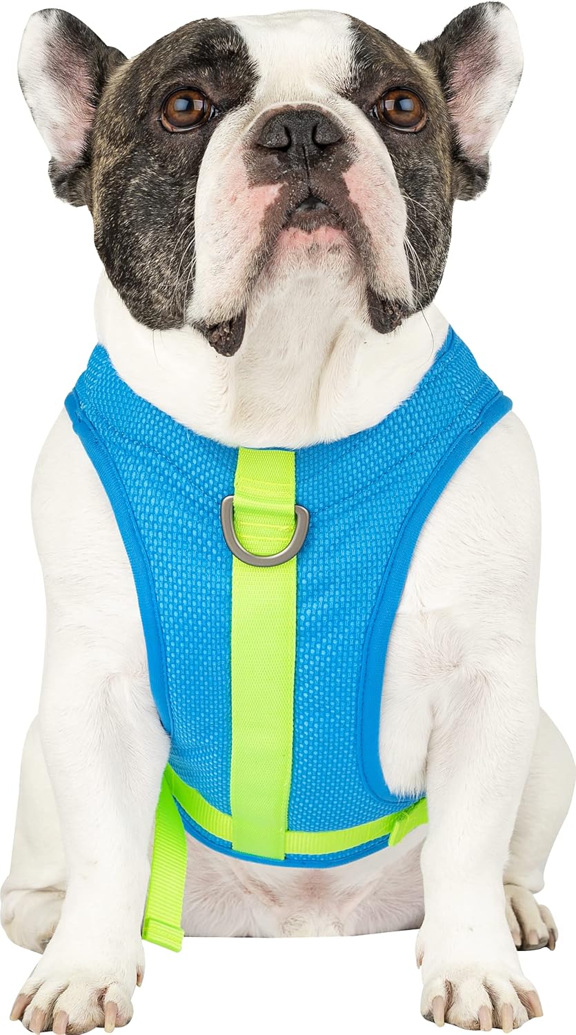 Canada Pooch Dog Cooling Harness – Evaporative Cooling Harness Vest for Dogs with Breathable Mesh Material & Reflective Lining, Adjustable Dog Cooling Vest Great for Dogs