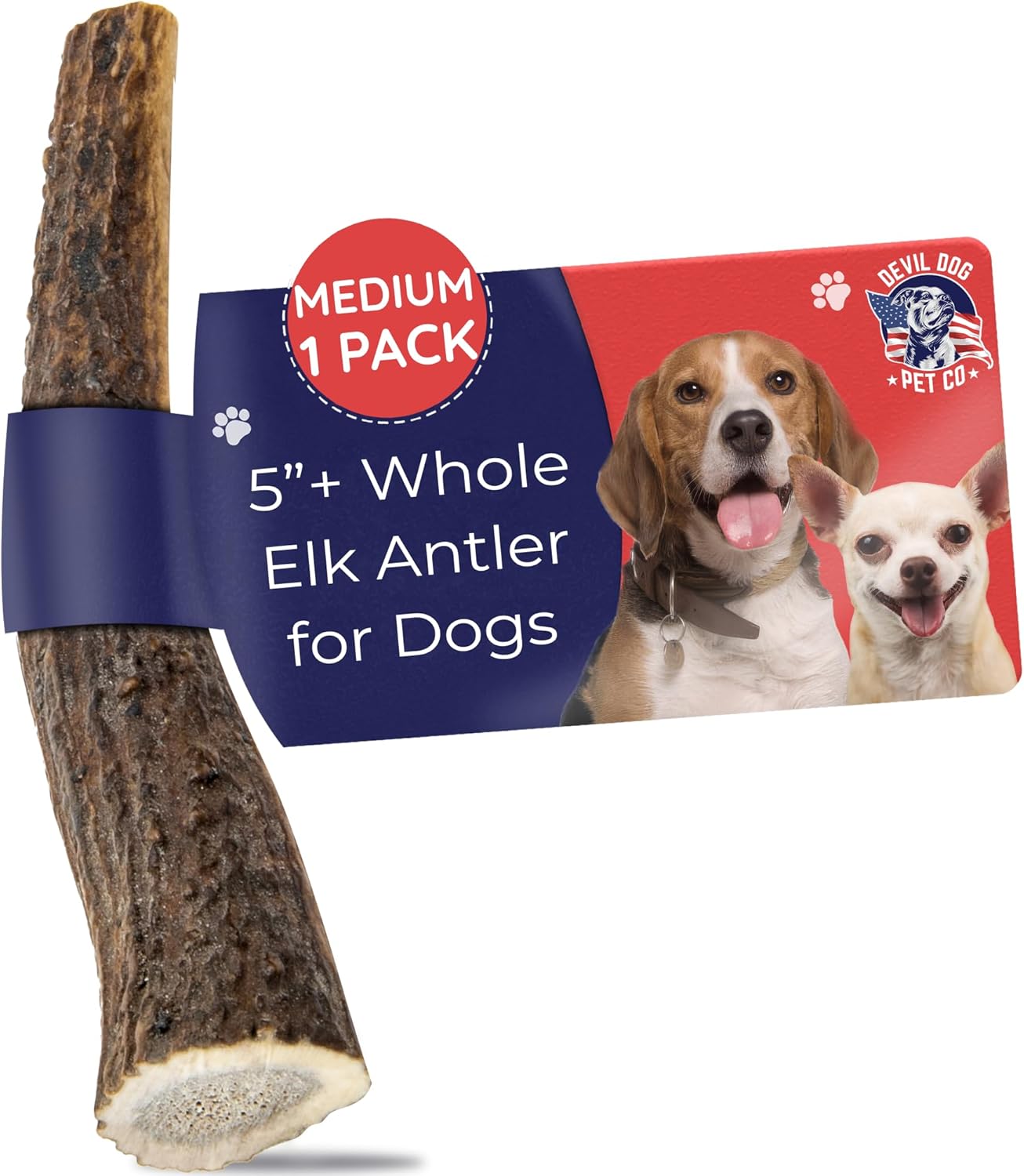 Devil Dog Pet Co. Elk Antlers for Dogs, Natural Dog Chew for Aggressive Chewers – Long Lasting and Odor Free – USA Sourced – Cleaner Teeth, Anxiety & Boredom Relief – Whole Medium 5″+ – Antler Bone