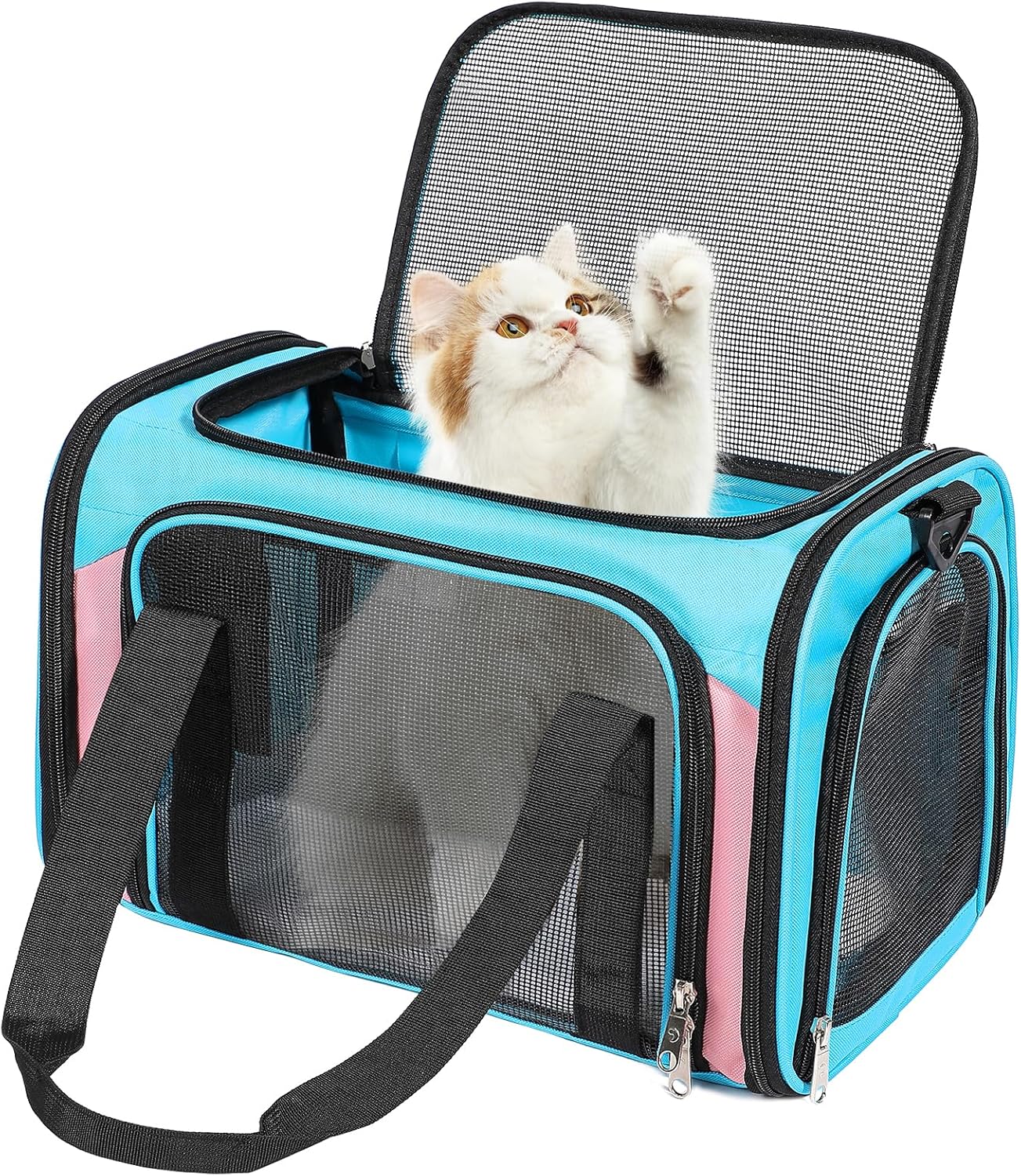 Discala Cat Dog Carrier Up to 15 Lbs TSA Airline Approved Pet Carrier for Small Medium Cats Puppies Dog Carriers for Small Dogs Collapsible Soft Sided Cat Travel Carrier – Blue&Pink 17″x11″x11″
