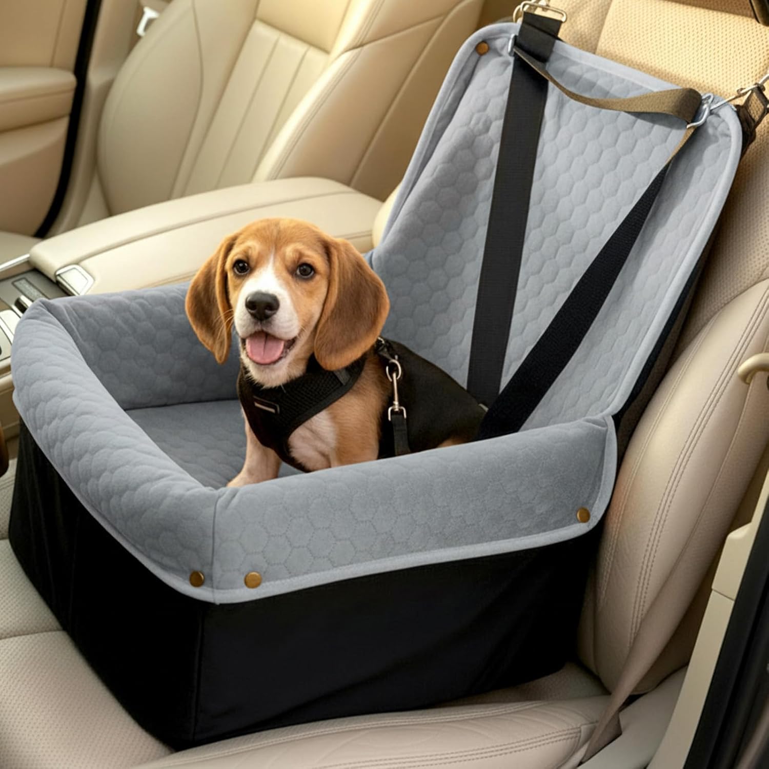 Dog Car Seat for Small Medium Dogs, Travel Pet Car Bed with Removable Waterproof Cover, Memory Foam Dog Booster Seats Up to 35 lbs, Safety Belt and Storage Pocket(Gray)