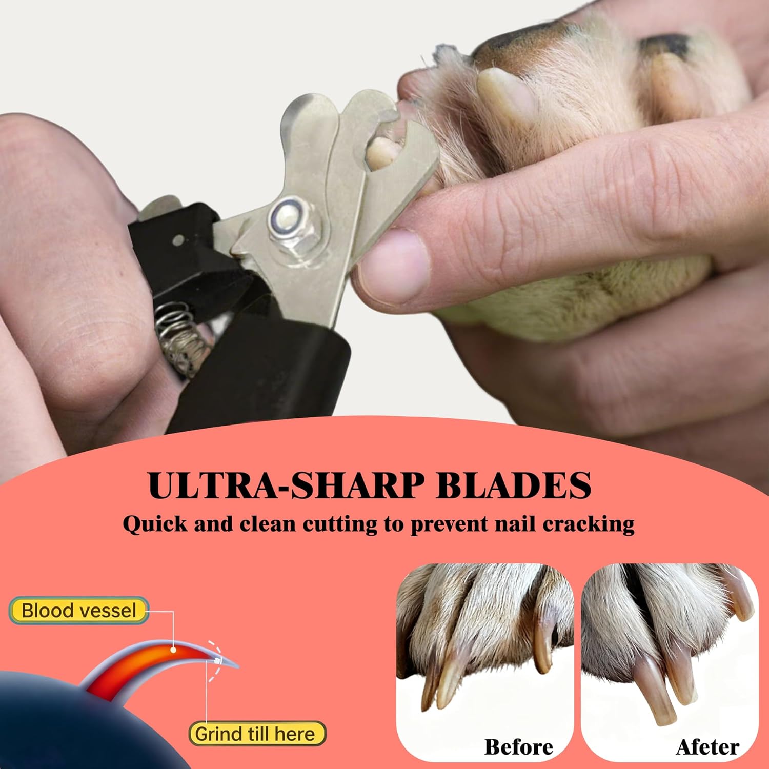 Dog Nail Clippers and Trimmers with Safety Guard — Sharp & Queit Dog Toenail Clippers for Large & Small Dogs with Free Nail File