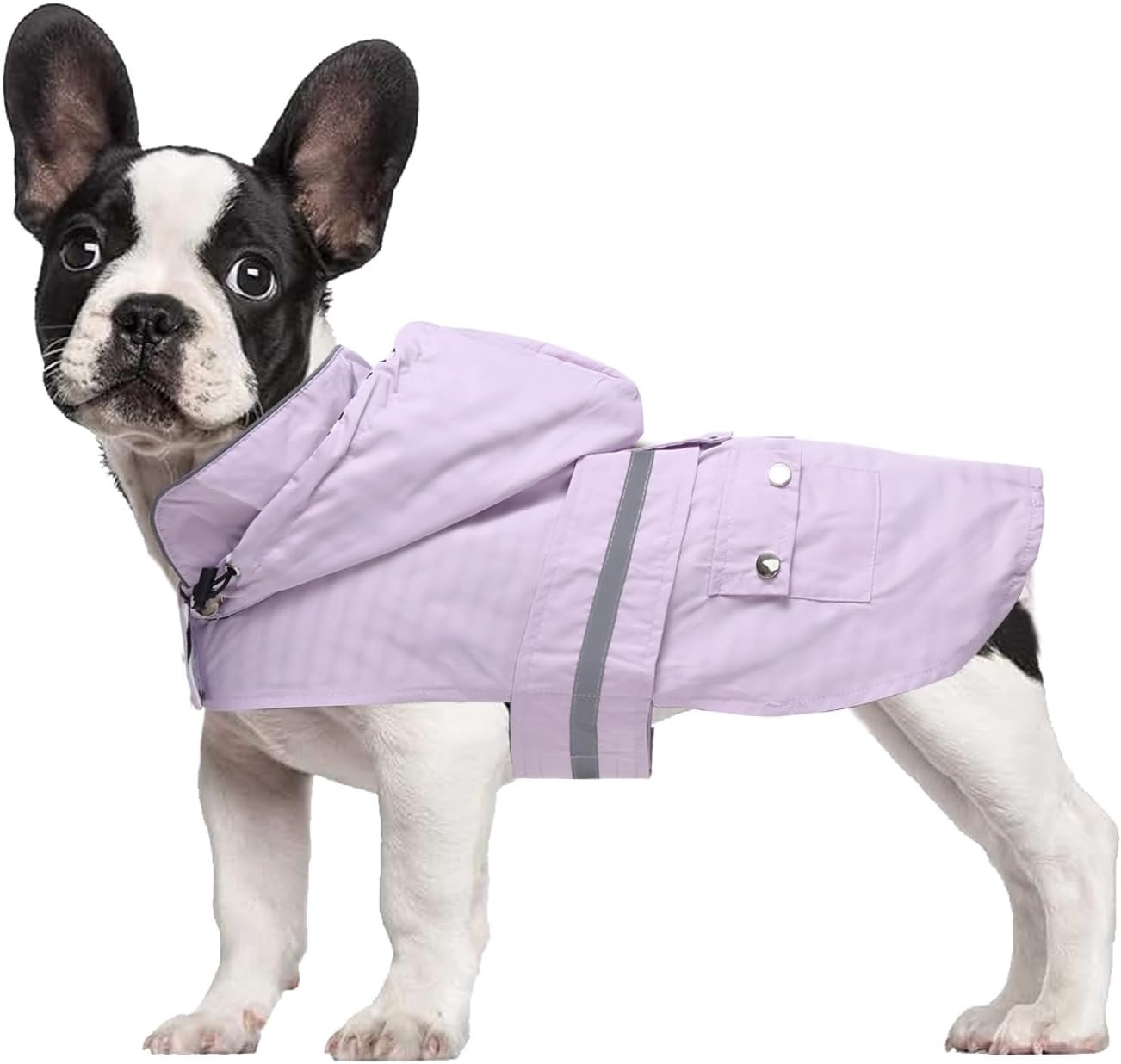 Dog Raincoat Puppy rain Jacket with Removable Hood for Small Medium Breeds Reflective Strap Storage Pockets in Cold Day Purple S