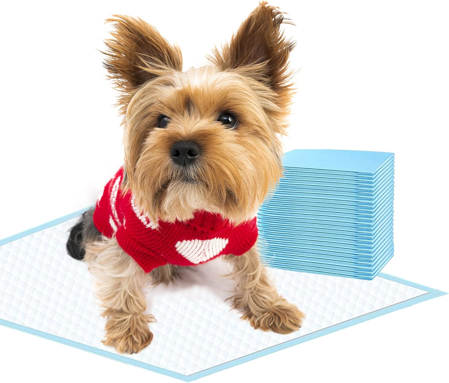Dog Training Pads, Leak-Proof 6-Layer Puppy Potty Pads with Quick-Dry Surface – Small Size 13×18 Inch