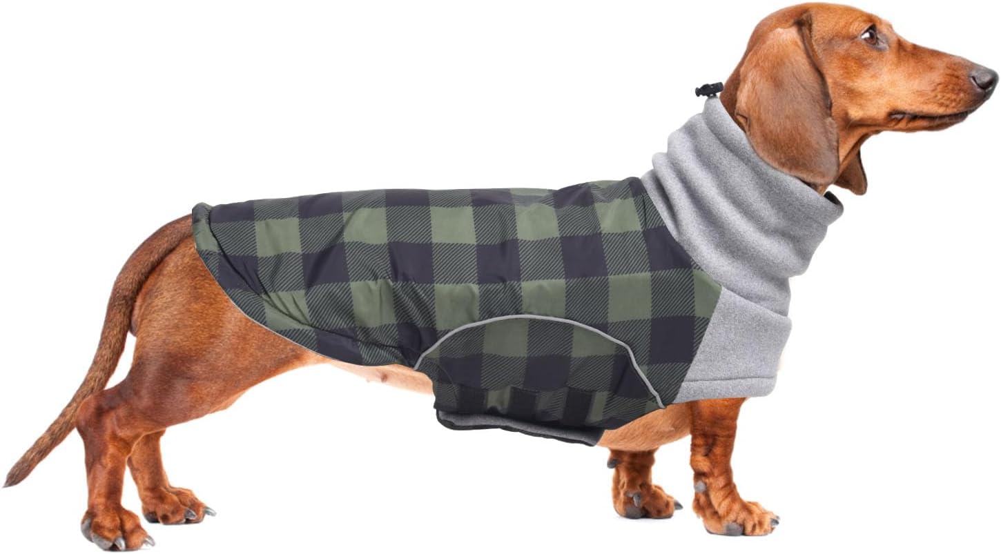 Dog Winter Coat,Dachshund Clothes,Waterproof Miniature Dachshund Jacket with Harness Hole,Dachshund Jumper with Turtle Neck,British Style-Green Plaid-M