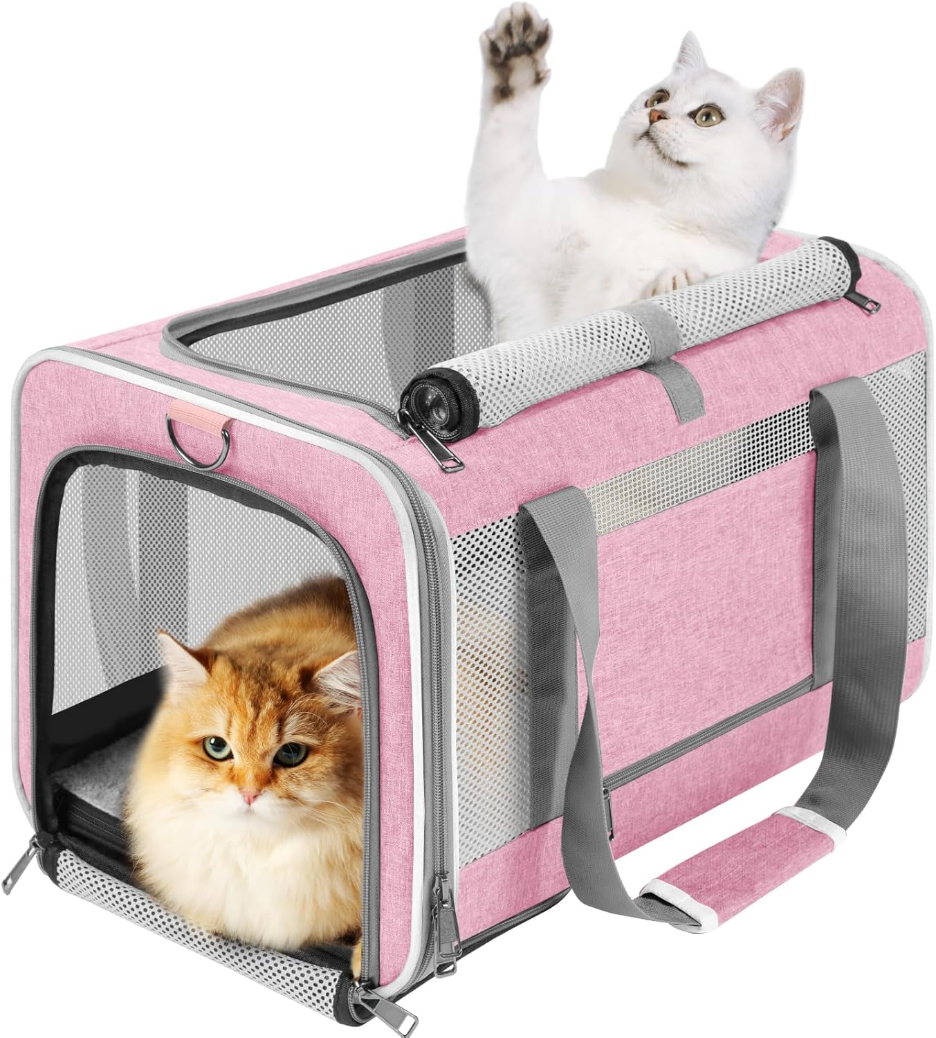 GAPZER Cat Carrier 20lbs Top Open/Soft Sided Small Pet Dog Travel Carrying Crate/Collapsible Puppy Transport Carry Bag/Sturdy Pet Cages Chihuahuas Mini Dog 10lbs Pink