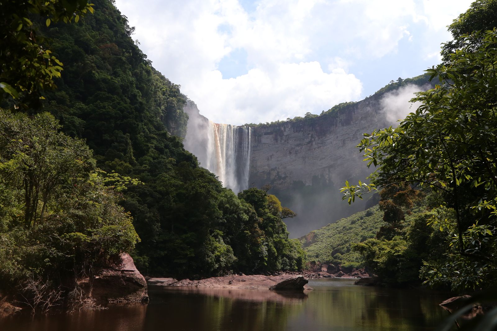 Image may contain Land Nature Outdoors Plant Rainforest Tree Vegetation Scenery Woodland Jungle Water and Cliff