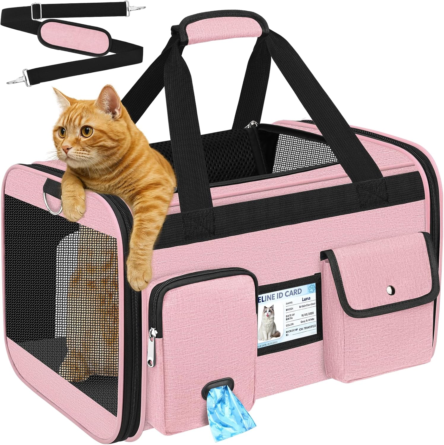 HUANLANG Soft-Sided Cat Carrier Airline Approved,Dog Carriers for Small Dogs Medium Cats,Pet Travel Carrier Up to 20 Lbs,Collapsible Cat Bag