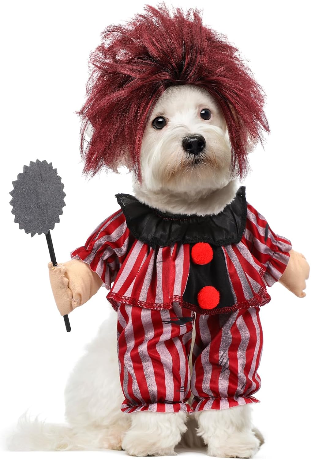 Huhumy 2 Pcs Halloween Dog Clown Costume Red Striped Cosplay Outfit with Wig for Medium Dogs Funny Pet Costume for Halloween Dress up Party