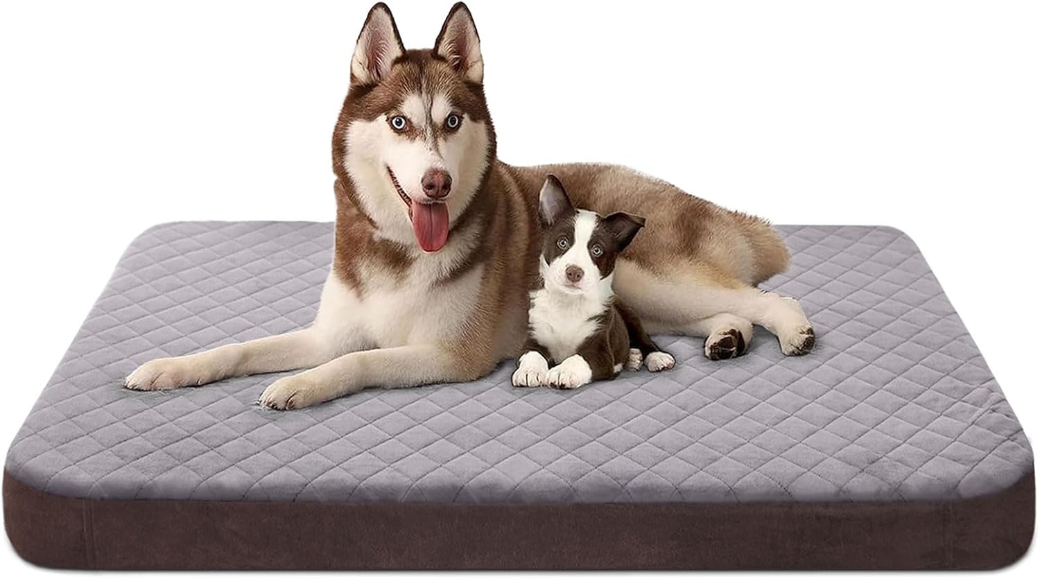 JoicyCo Large Dog Bed, High Density Foam, Good Resilience for Enough Cushion to Large Dogs Such as Great Dane, 47 * 39 Inches Widen Pet Bed, Non Slip Bottom with Removable Washable Cover