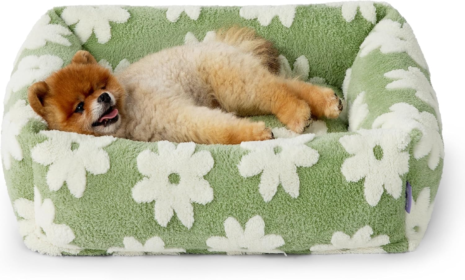 LE SURE Cute Dog Bed for Small Dogs – Washable Puppy Beds,Cozy Rectangle Orthopedic Pet Sofa with Jacquard Shaggy Plush & Anti Slip Bottom,25x21x7inches