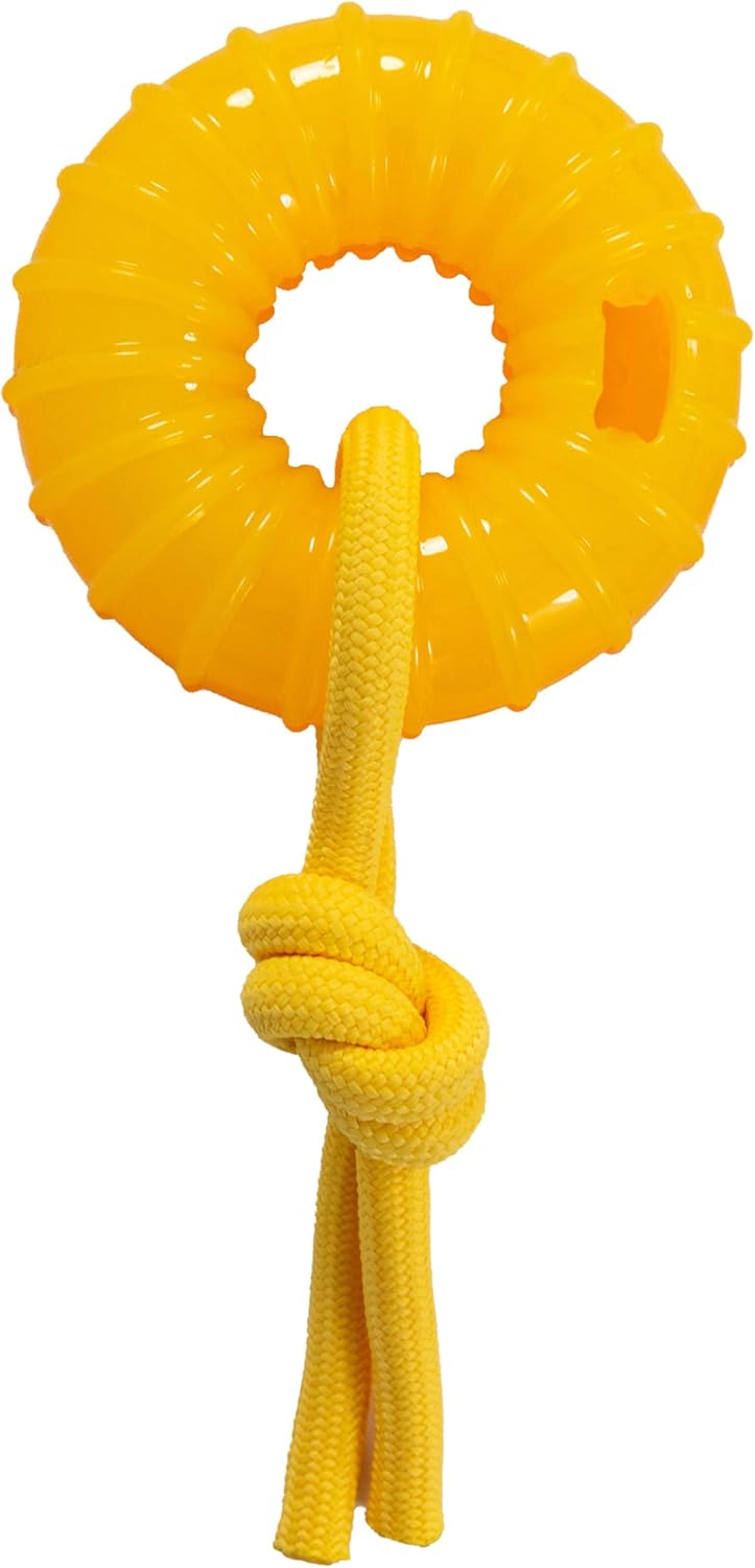 Outward Hound Gummiez Peach Ring 2-in-1 Dental Dog Chew Toy and Treat Stuffer Game, Peach Scent