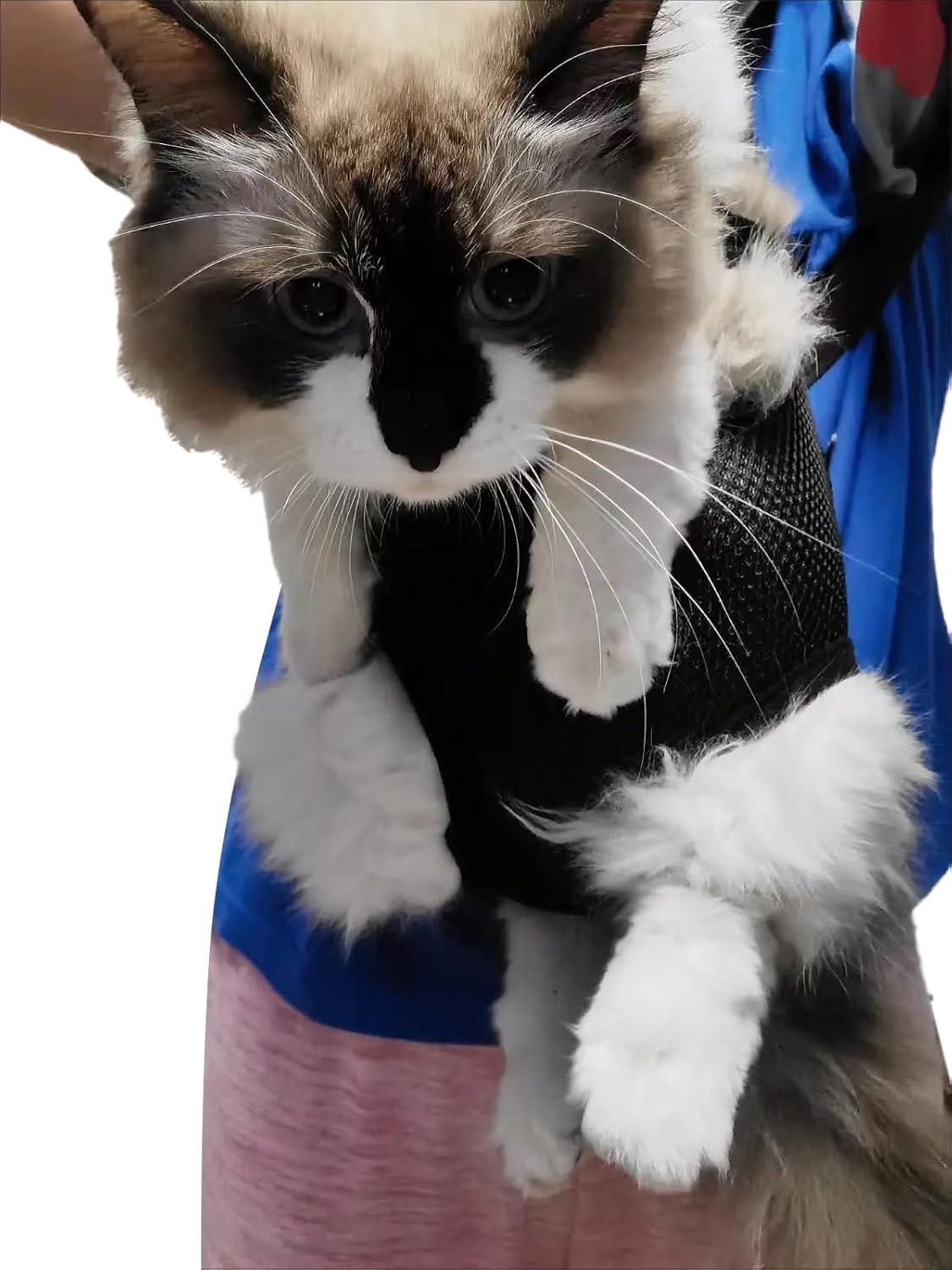 Pet Carrier Backpack – Adjustable Pet Front Cat Dog Carrier Backpack Travel Bag,Legs Out,Easy-Fit for Traveling Hiking Camping for Small Medium Dogs Cats Puppies. (Navy Blue, Small)