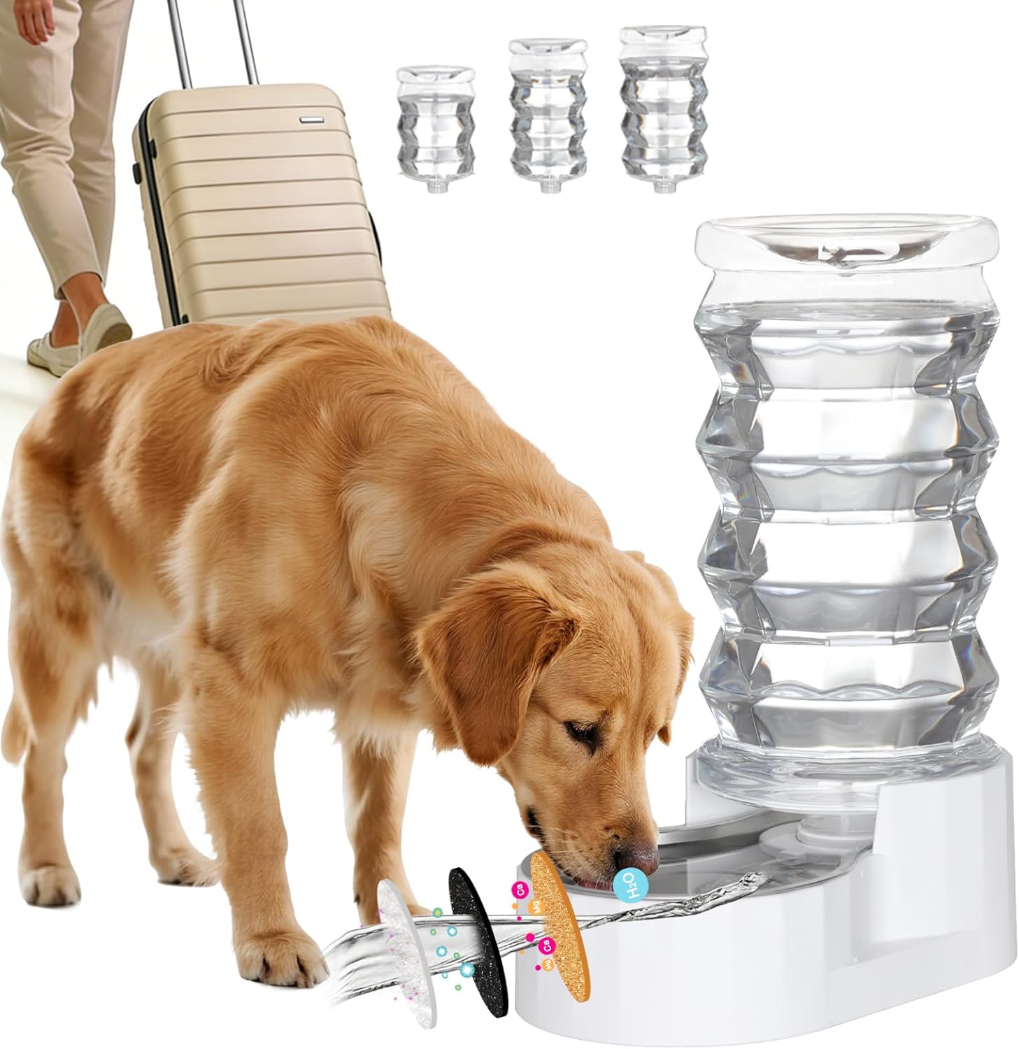 RIZZARI Gravity Dog Water Dispenser: 8L Large Auto-Refill Stainless Steel Pet Water Feeder – No-Spill BPA-Free Design for Large Dogs & Multi-Dog Homes – Everyday Indoor & Outdoor Spaces