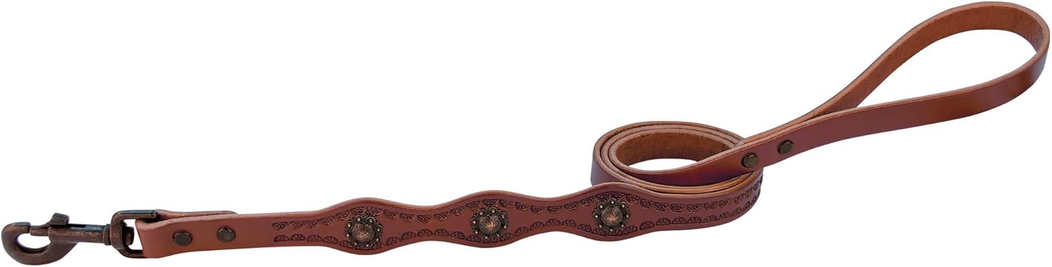 Weaver Pet Sundance Dog Leash