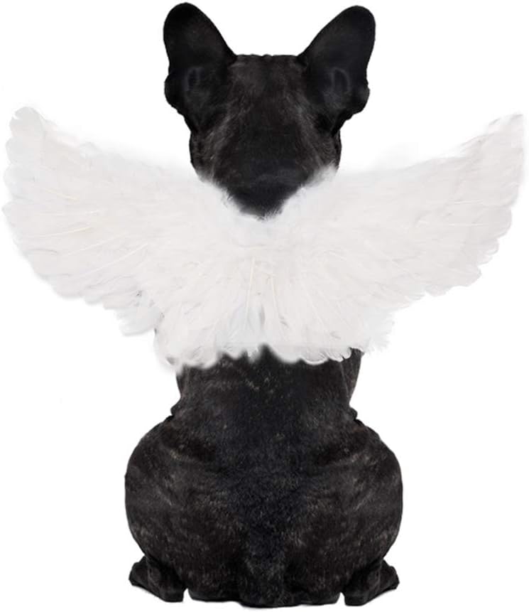 WeeH Pet Halloween Costume Cosplay Angel Devil Black White Wing for Dog Cat Rabbit Piggy – Funny Gift at Halloween Party Anime Theme Birthday Christmas (White, Large)