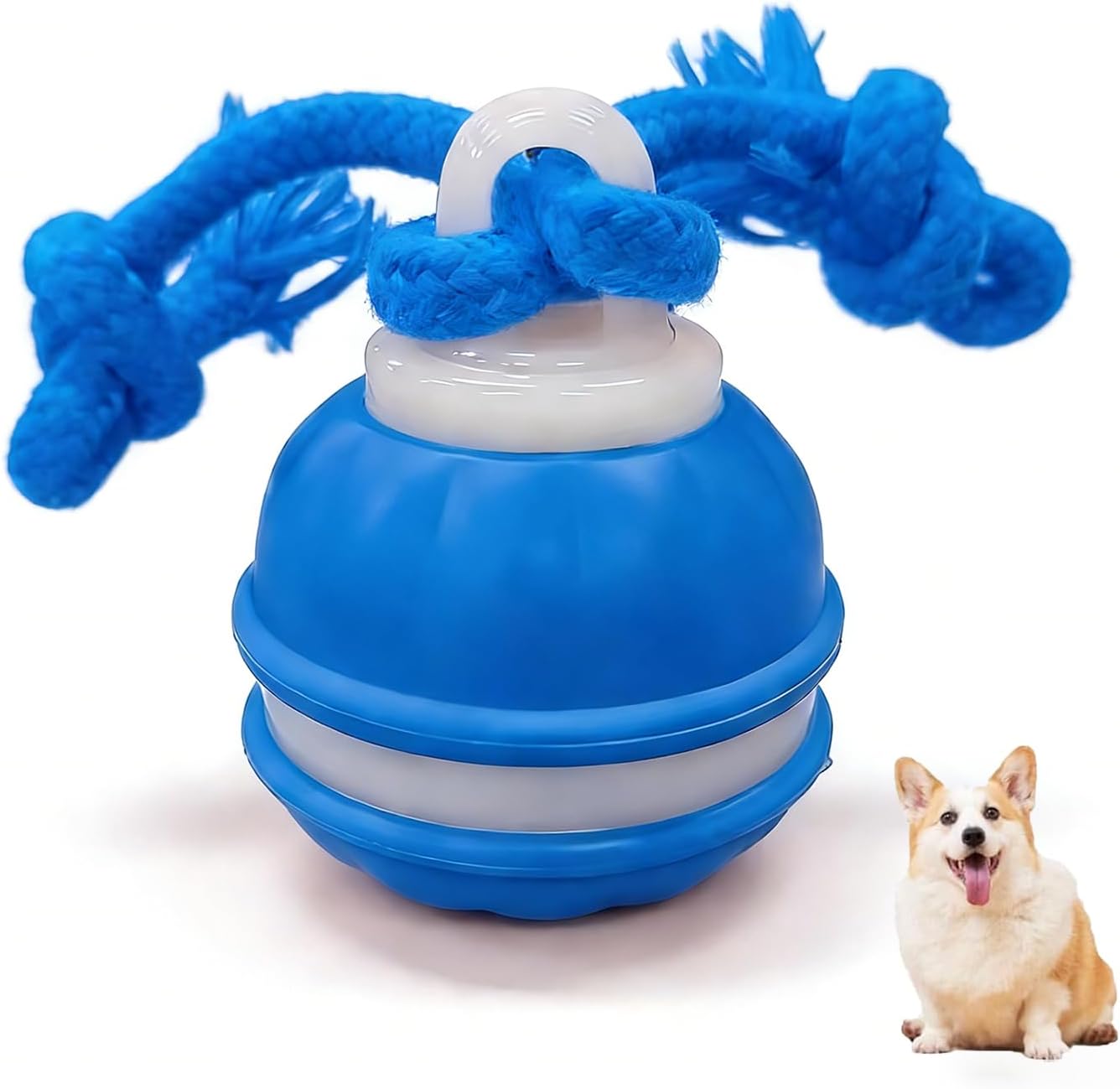 Zealburst Interactive Dog Toy Ball, 2026 Upgraded Motion Activated Rolling Ball with Squeaky Sounds, 360° Smart Automatic Moving Toy for Bored Cats & Dogs, Indoor & Outdoor Pet Exercise Toy (Blue)