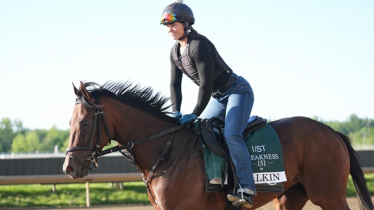 2026 Preakness Stakes predictions, horses, odds, posts: Surprising picks via elite horse racing handicapper