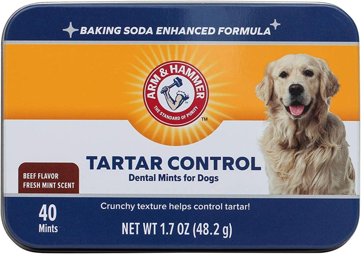 Arm & Hammer for Pets Tartar Control Dental Mints for Dogs, Reduces Plaque & Tartar Buildup Without Brushing, Freshens Dog Breath, Beef Flavor, Fresh Mint Scent, 40 Count, Medium Breeds