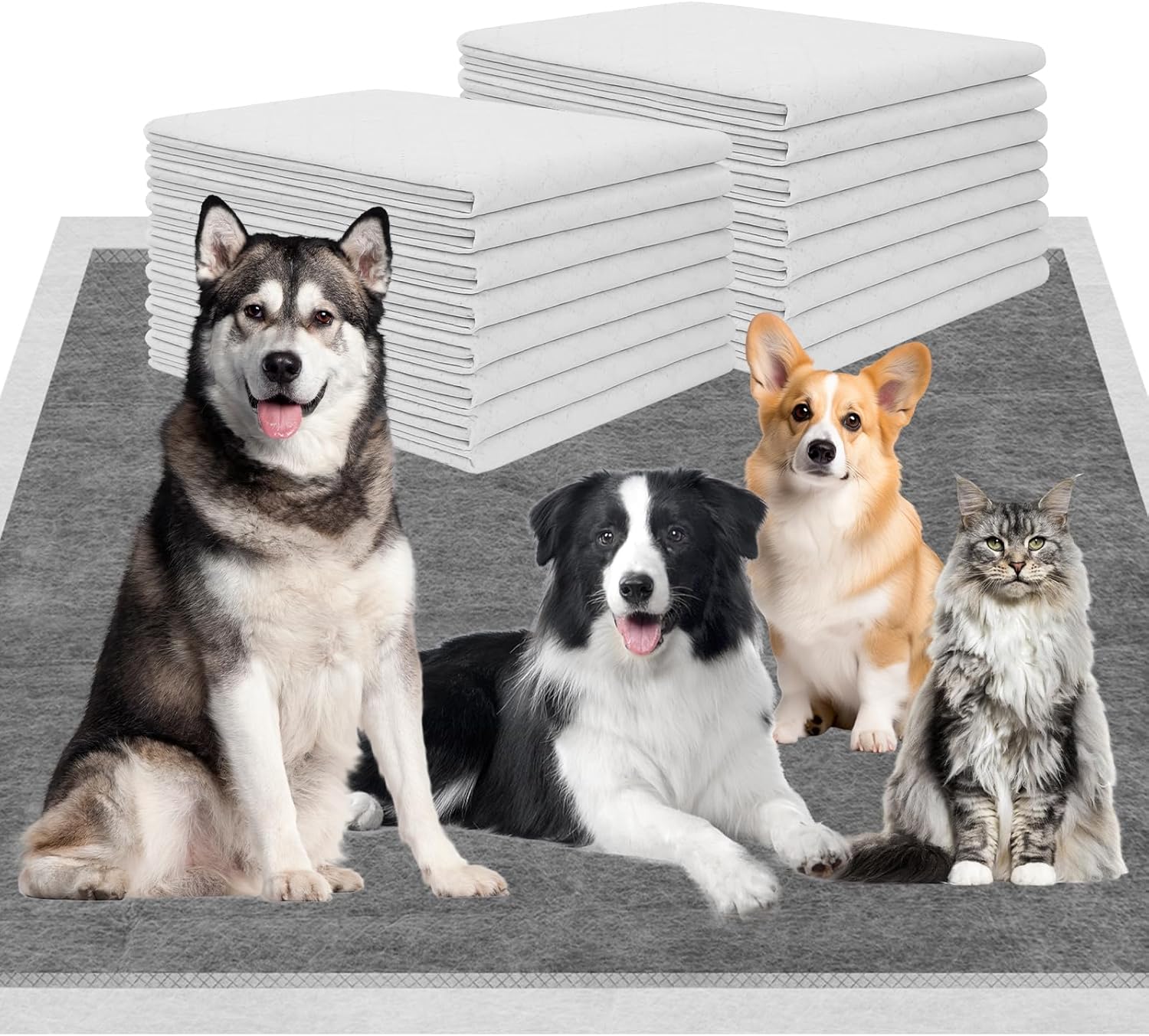 Charcoal Puppy Pads 36″×51″, Ultra-Large Carbon Pee Pads for Dogs, Odor-Control Puppy Pads, 6-Layer Dog Training Pads, Ultra-Absorbent & Quick-Dry Black Dog Pads 40 Count