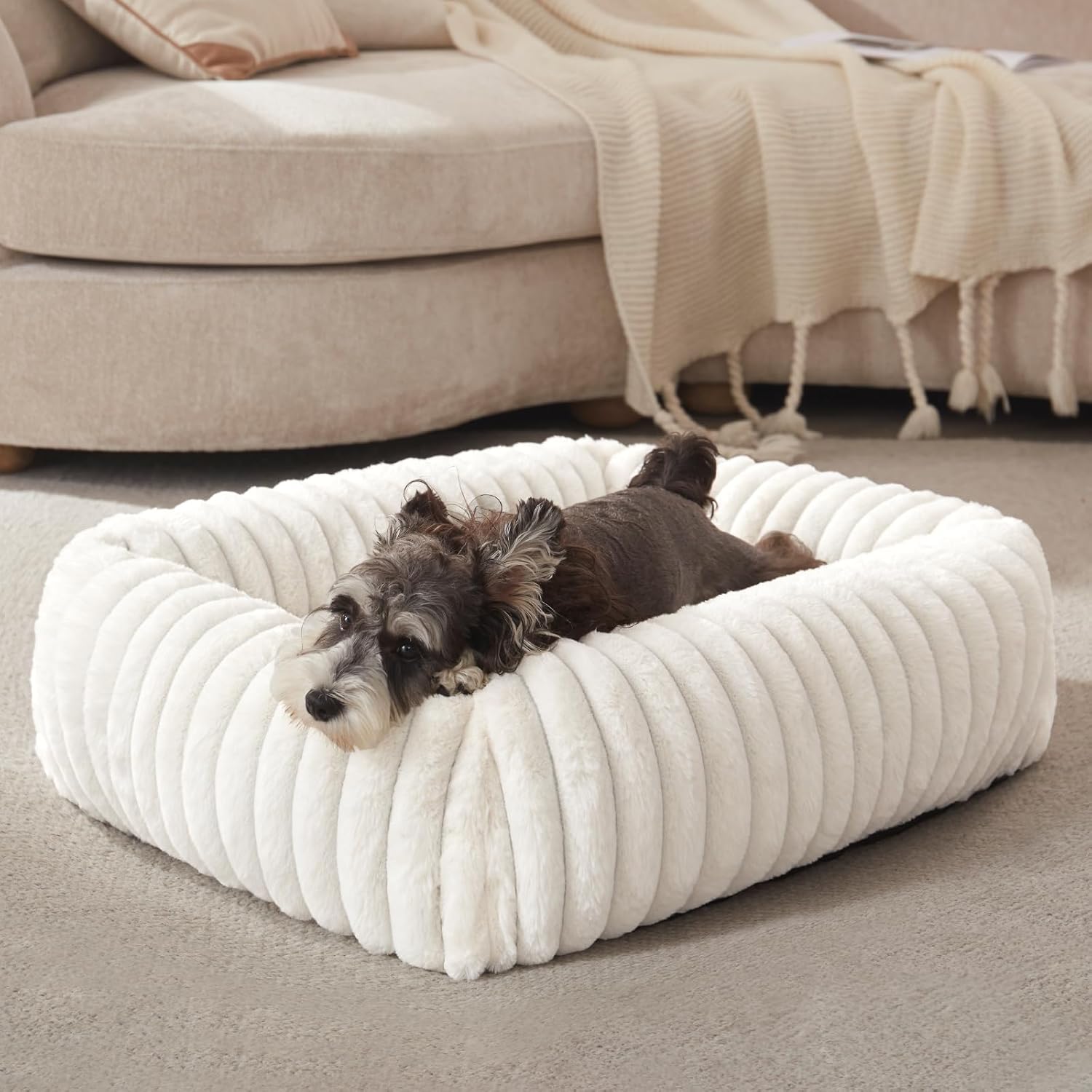 FURTIME Dog Bed for Small Dogs, Washable Orthopedic Dog Bed with Removable Cover, Rectangle Soft Calming Sleeping Puppy Bed Durable Pet Cuddler with Anti-Slip Bottom, Cream, S (20″x19″x6″)