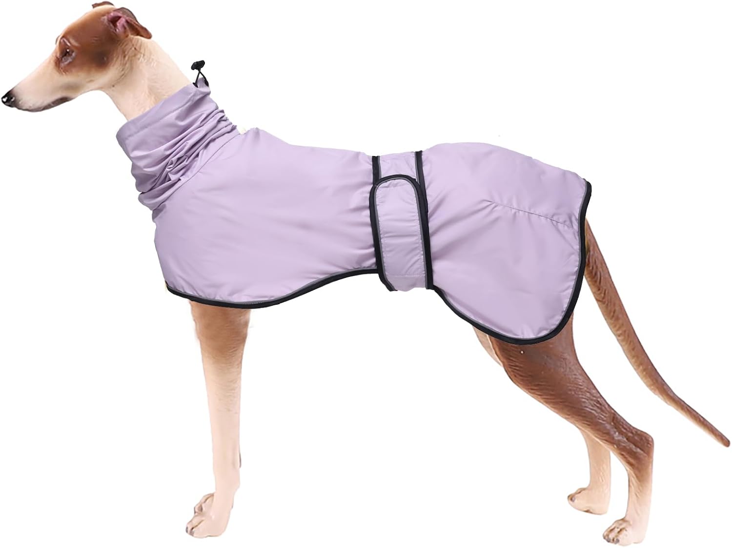 Greyhound Whippet Raincoat Waterproof with Reflective Stripe high Neck fit for Italian Greyhounds Whippets Long Back Breeds – Purple – S