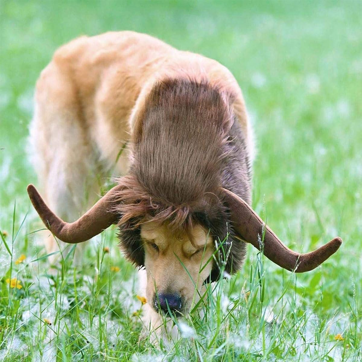 Halloween Dog Horn Wig Soft Bull Dog Costumes Winter Warm Hat Dog Wig Clothes Pet Funny Ox Hat Dog Cat Horn Headgear Accessories Cosplay Bull Mane for Medium to Large Dogs Outfit (Large)